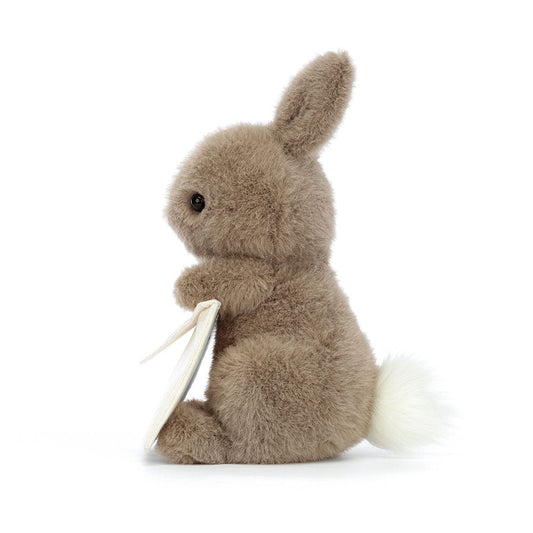 Messenger Bunny - Soft Novelty Toy | Wobblepaws