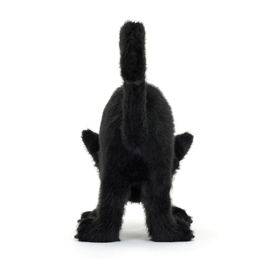 Spookipaws Cat
