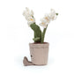 Amuseables Cream Orchid - Soft Novelty Toy | Wobblepaws