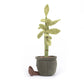 Amuseables Potted Bamboo - Soft Novelty Toy | Wobblepaws