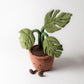 Amuseables Monstera Plant - Soft Novelty Toy | Wobblepaws