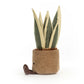 Amuseables Snake Plant - Soft Novelty Toy | Wobblepaws