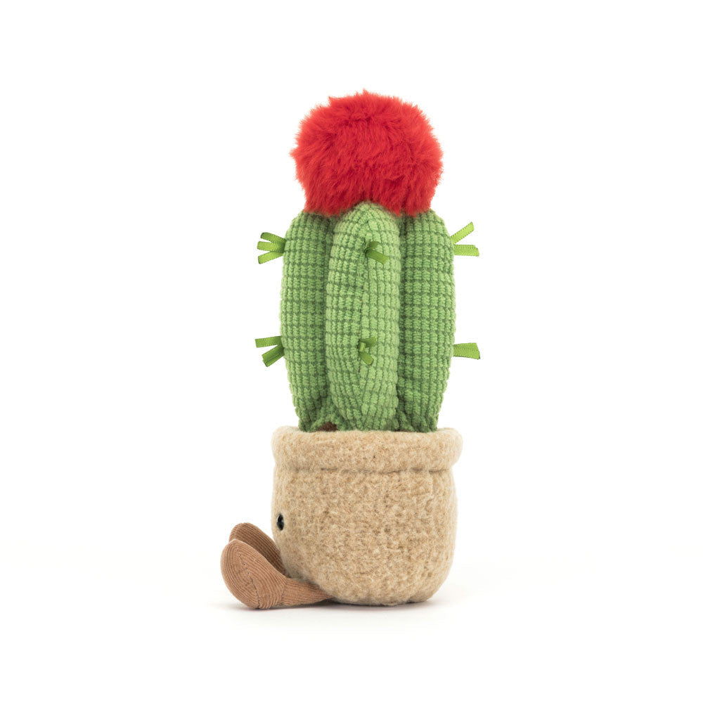 Amuseables Moon Cactus - Soft Novelty Toy | Wobblepaws