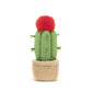 Amuseables Moon Cactus - Soft Novelty Toy | Wobblepaws