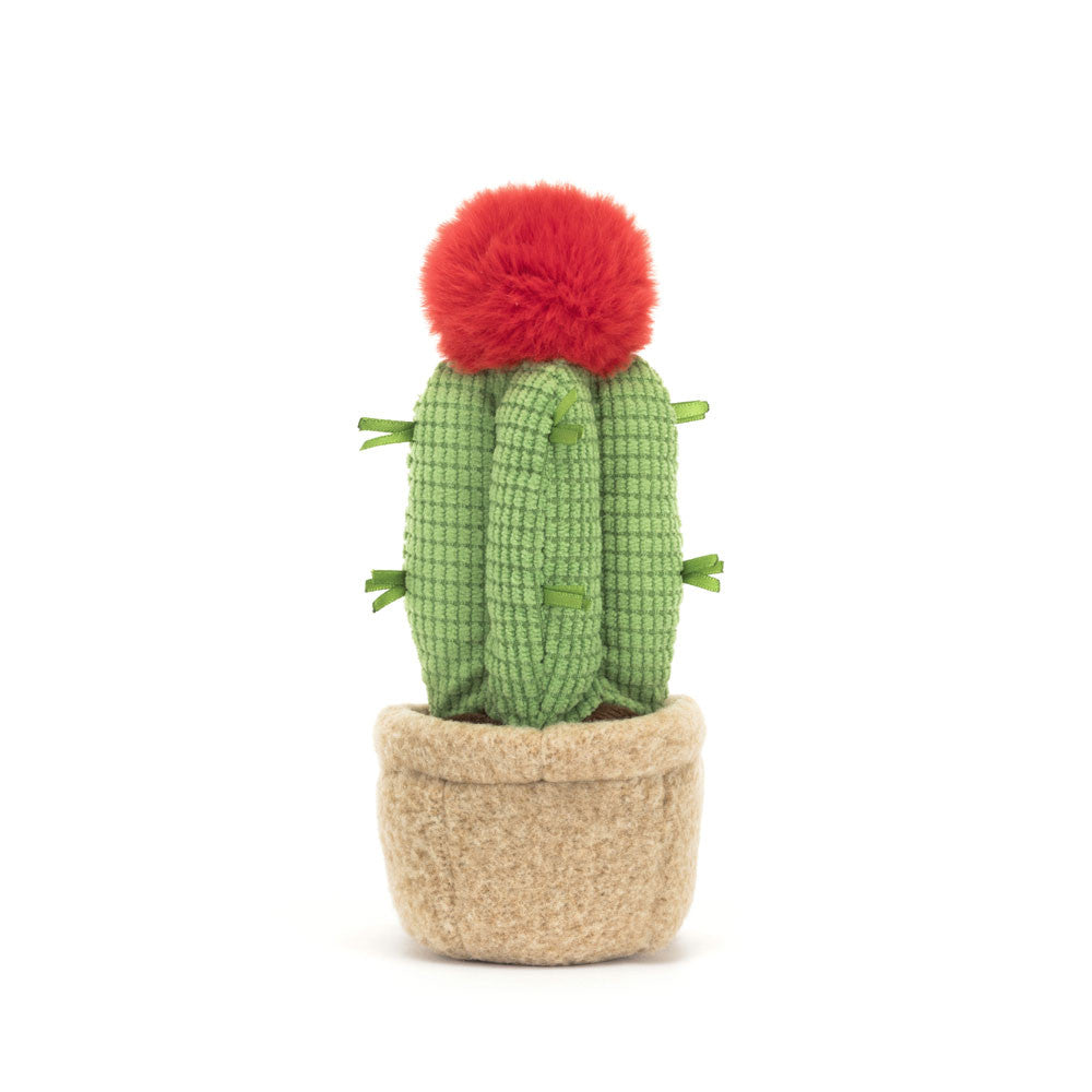Amuseables Moon Cactus - Soft Novelty Toy | Wobblepaws