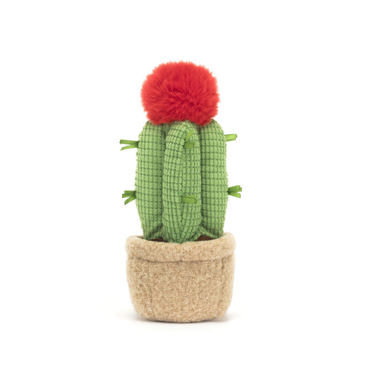 Amuseables Moon Cactus - Soft Novelty Toy | Wobblepaws