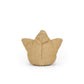 Amuseables Star - Soft Novelty Toy | Wobblepaws