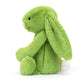 Bashful Apple Bunny - Soft Stuffed Rabbit | Wobblepaws