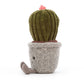 Silly Succulent Barrel Cactus