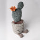 Silly Succulent Prickly Pear Cactus