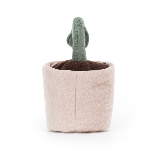 Silly Seedling Serene